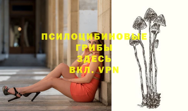 PSILOCYBIN Липки