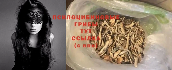 PSILOCYBIN Липки