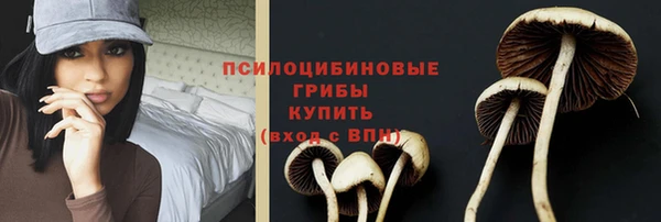 дурь Лиски