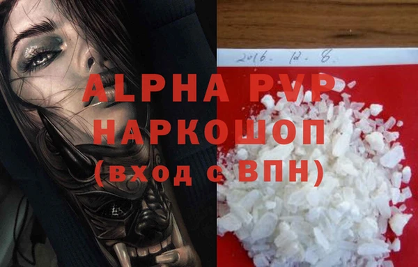 PSILOCYBIN Липки