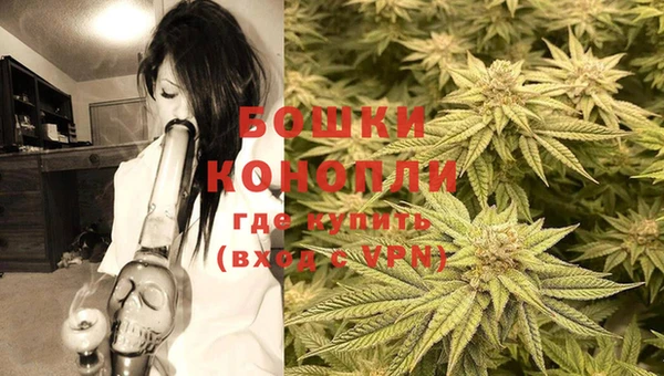 PSILOCYBIN Липки