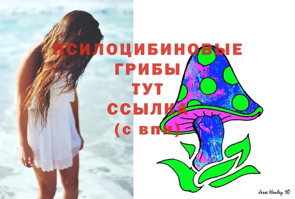 PSILOCYBIN Липки