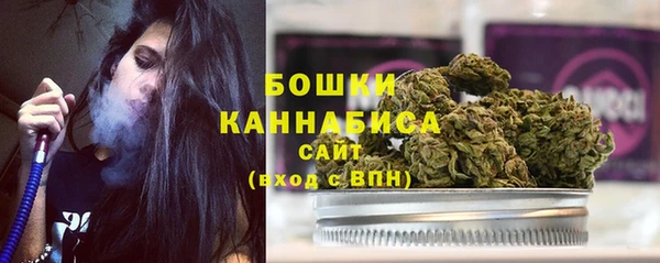 PSILOCYBIN Липки